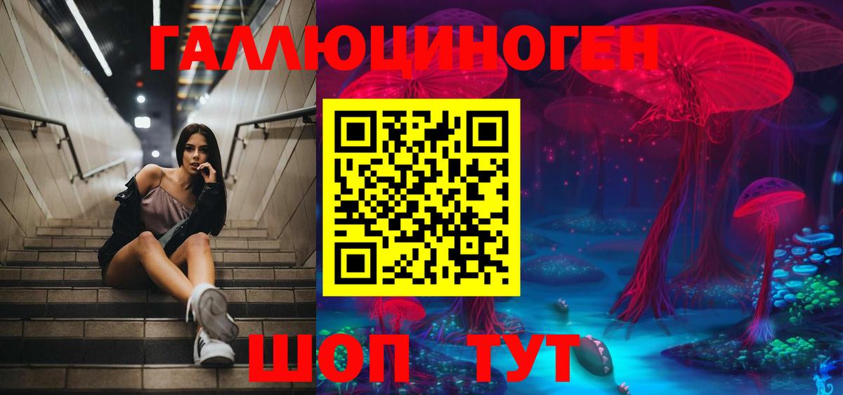Псилоцибиновые грибы Magic Shrooms  Вход с VPN  Великий Новгород  Псилоцибиновые грибы GOLDEN TEACHER 